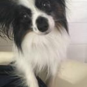 にほんブログ村 ライフスタイルブログ ポジティブな暮らしへ